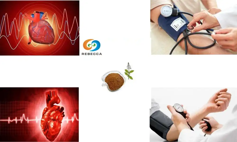 How does coleus forskohlii affect blood pressure and heart function?